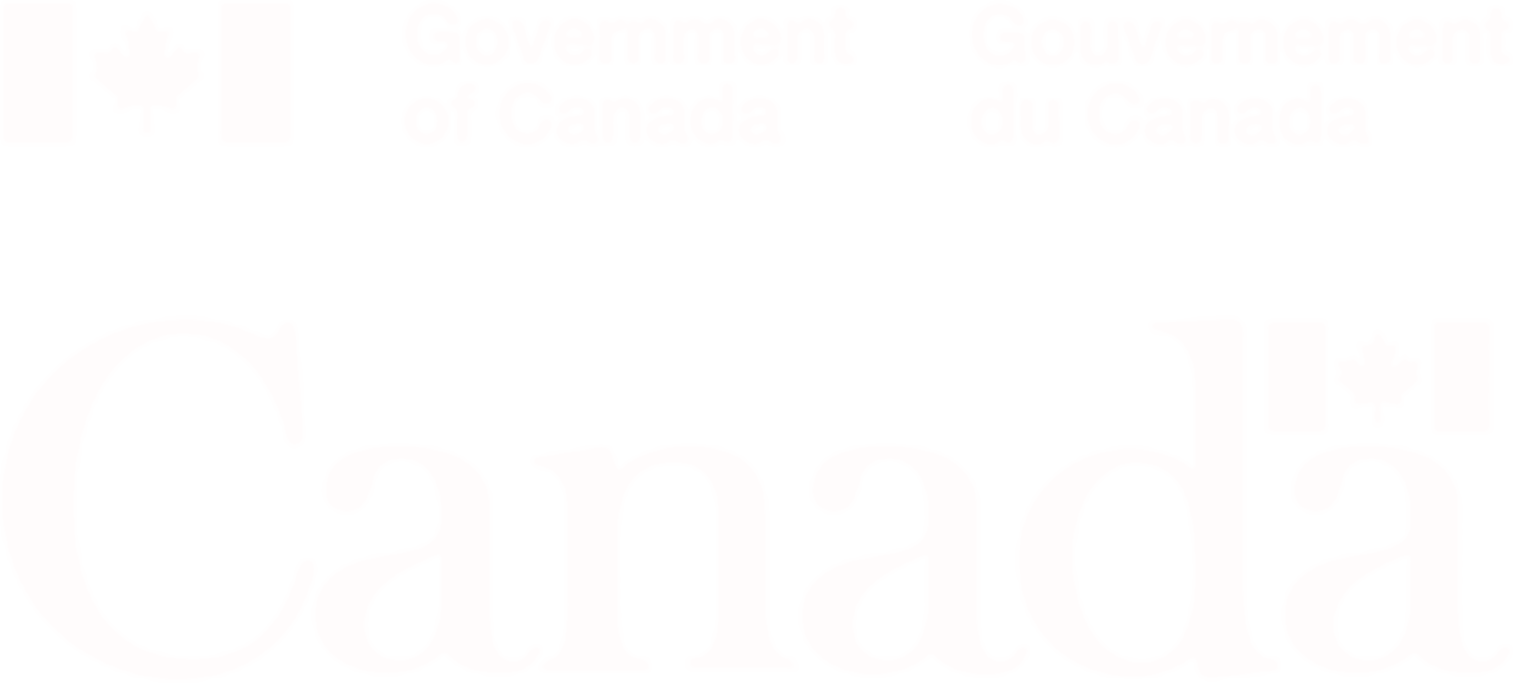 Logo Chaires de recherche du Canada